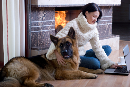 Snowplowing while you stay warm inside