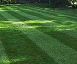 Lawn Mowing