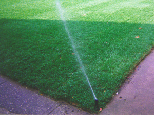 sprinkler maintenance